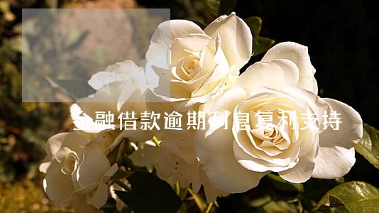 金融借款逾期利息复利支持 金融借款逾期利息复利支持