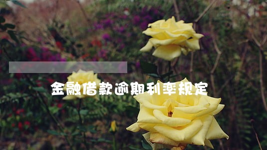 金融借款逾期利率规定 金融借款逾期利率规定