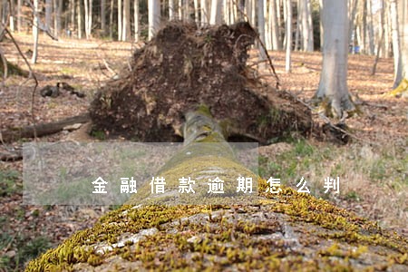 金融借款逾期怎么判 金融借款逾期怎么判