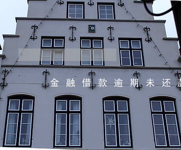 金融借款逾期未还款 金融借款逾期未还款