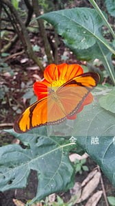 金融借款逾期案件判决 金融借款逾期案件判决