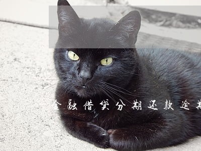 金融借贷分期还款逾期三天 金融借贷分期还款逾期三天
