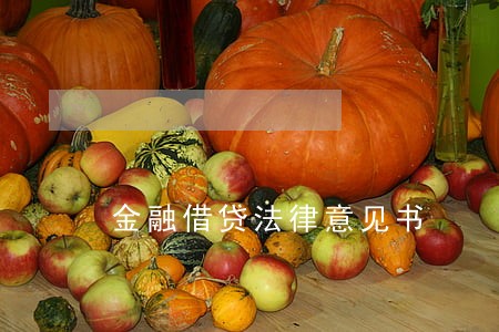 金融借贷法律意见书 金融借贷法律意见书