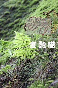 金融借贷逾期利息罚息 金融借贷逾期利息罚息