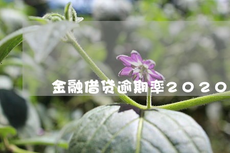 金融借贷逾期率2020