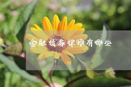 金融债务律师有哪些 金融债务律师有哪些