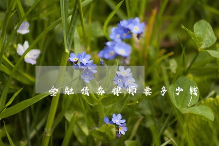 金融债务律师要多少钱 金融债务律师要多少钱