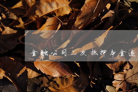 金融公司二次抵押本金逾期 金融公司二次抵押本金逾期
