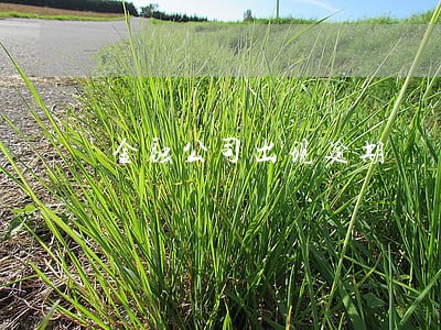 金融公司出现逾期 金融公司出现逾期