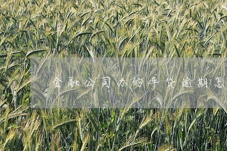 金融公司办的车贷逾期怎么办 金融公司办的车贷逾期怎么办