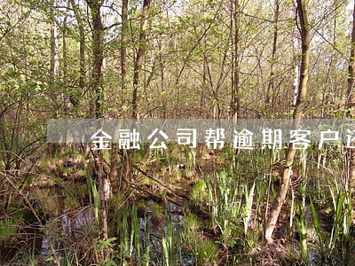 金融公司帮逾期客户还款 金融公司帮逾期客户还款