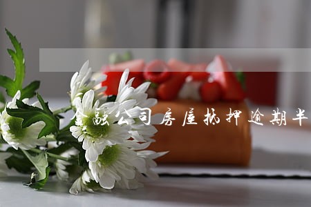 金融公司房屋抵押逾期半年 金融公司房屋抵押逾期半年