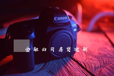 金融公司房贷逾期 金融公司房贷逾期