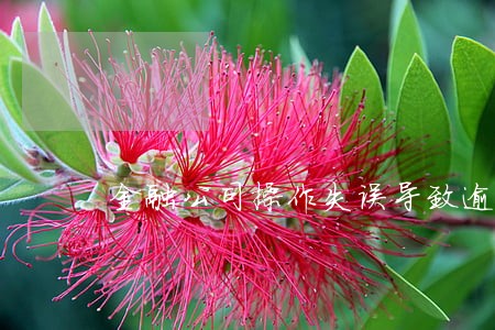 金融公司操作失误导致逾期 金融公司操作失误导致逾期