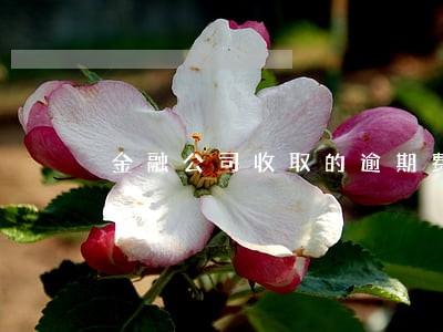 金融公司收取的逾期费和担保费 金融公司收取的逾期费和担保费