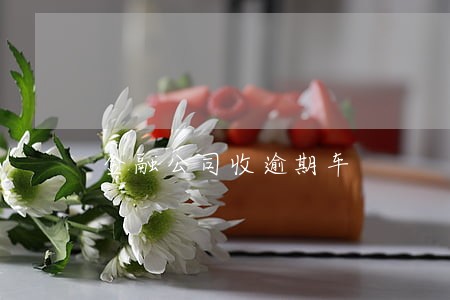 金融公司收逾期车 金融公司收逾期车
