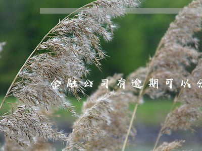 金融公司有逾期可以分期买车吗