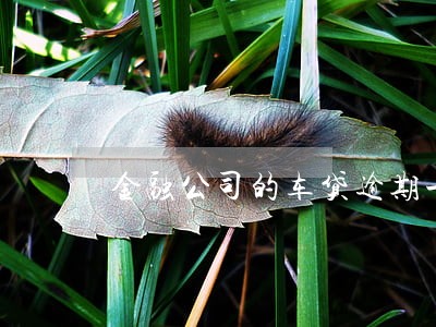 金融公司的车贷逾期一天 金融公司的车贷逾期一天