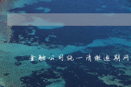 金融公司统一清缴逾期网贷 金融公司统一清缴逾期网贷