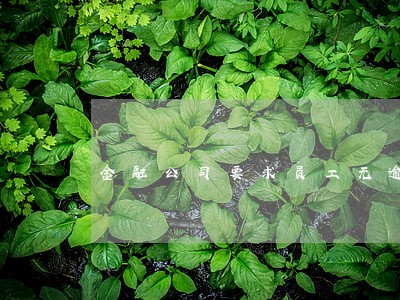 金融公司要求员工无逾期 金融公司要求员工无逾期
