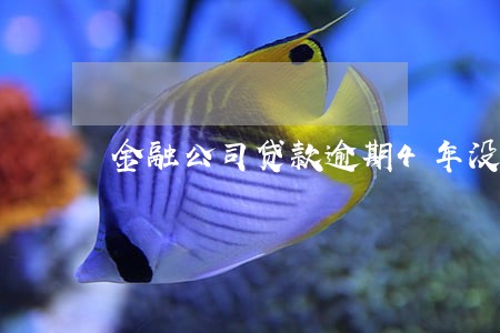 金融公司贷款逾期4年没被起诉 金融公司贷款逾期4年没被起诉