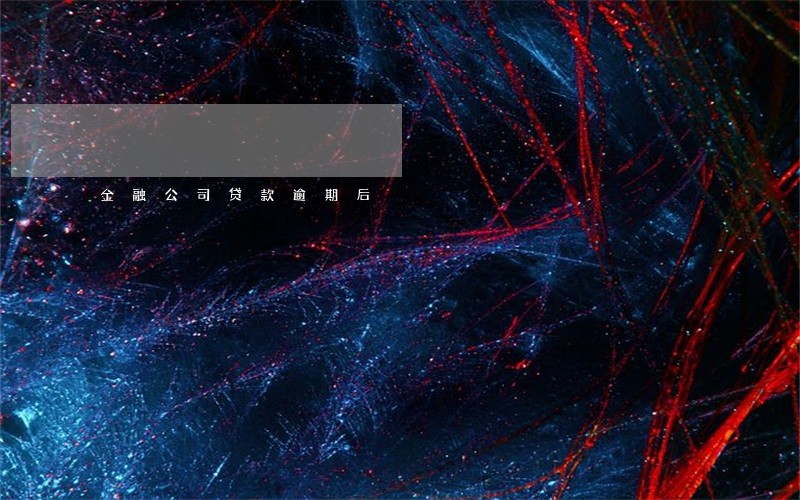 金融公司贷款逾期后 金融公司贷款逾期后
