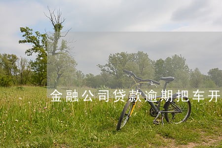 金融公司贷款逾期把车开走了