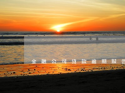 金融公司贷款逾期报告 金融公司贷款逾期报告