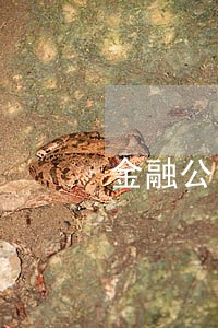 金融公司贷款逾期案件移交 金融公司贷款逾期案件移交