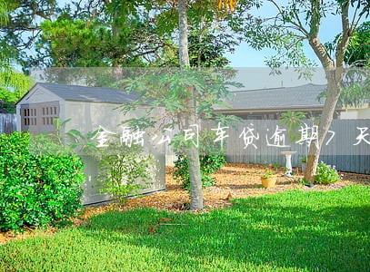 金融公司车贷逾期7天