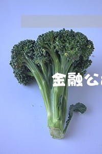 金融公司车贷逾期不还