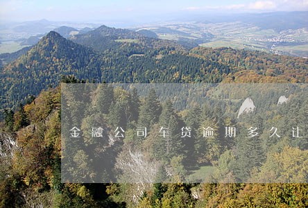 金融公司车贷逾期多久让结清