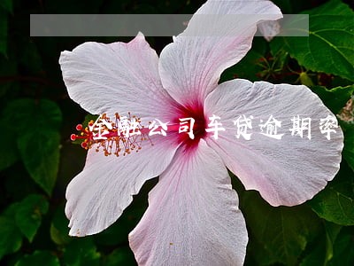 金融公司车贷逾期率 金融公司车贷逾期率