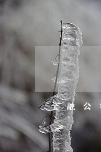 金融公司还款多久算逾期 金融公司还款多久算逾期
