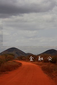 金融公司逾期5天拼命打电话 金融公司逾期5天拼命打电话