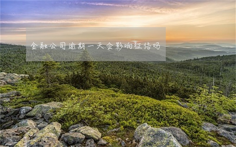 金融公司逾期一天会影响征信吗 金融公司逾期一天会影响征信吗
