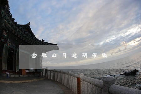 金融公司逾期催收 金融公司逾期催收