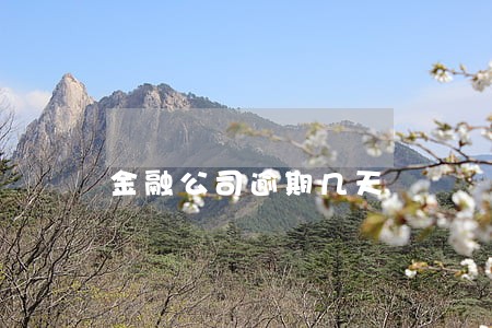 金融公司逾期几天 金融公司逾期几天