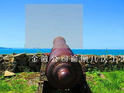 金融公司逾期几次上黑名单 金融公司逾期几次上黑名单