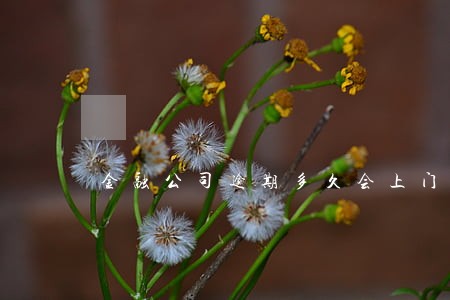 金融公司逾期多久会上门