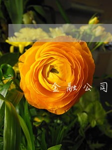 金融公司逾期多长时间会上征信 金融公司逾期多长时间会上征信