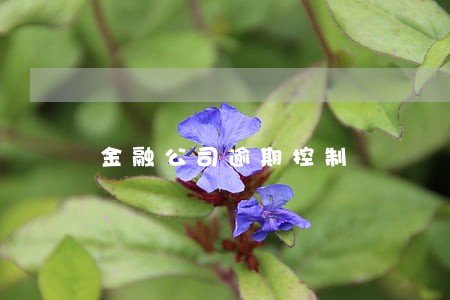 金融公司逾期控制