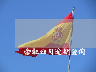 金融公司逾期查询 金融公司逾期查询