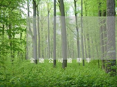 金融公司逾期率 金融公司逾期率