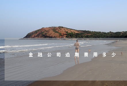 金融公司逾期费用多少 金融公司逾期费用多少
