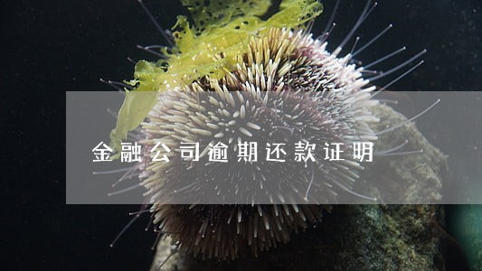 金融公司逾期还款证明