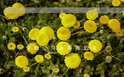 金融公司逾期违约金 金融公司逾期违约金