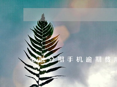 金融分期手机逾期费用 金融分期手机逾期费用