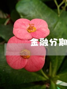 金融分期逾期一天上征信吗 金融分期逾期一天上征信吗
