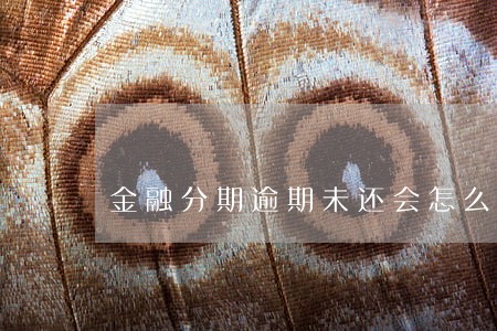 金融分期逾期未还会怎么样